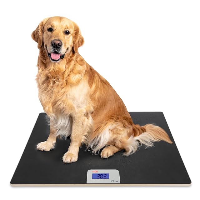 ADE XL Tierwaage mit Plattform für große Hunde
