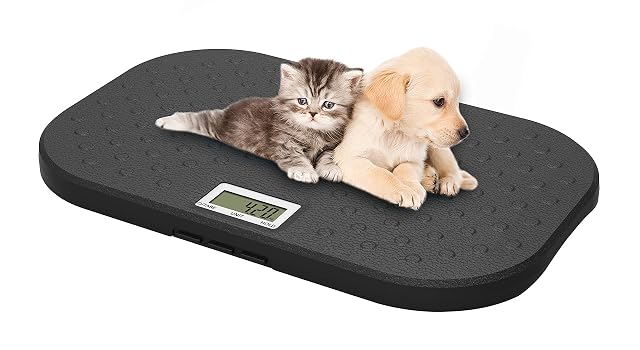 i-pouch EB527 digitale Tierarztwaage