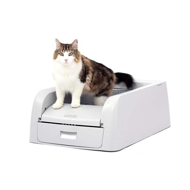 PetSafe ScoopFree Clumping selbstreinigende Katzentoilette mit Abfallbehälter